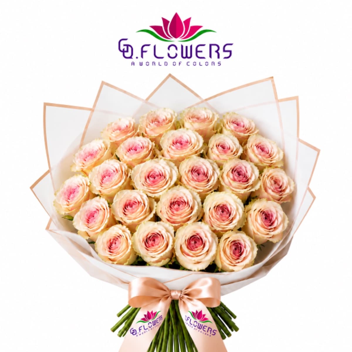 Luciano — soft pink, light edges